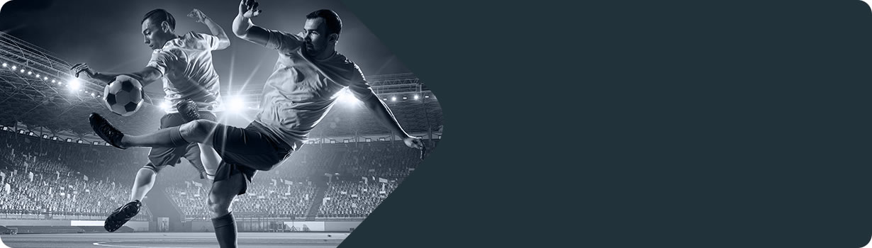 sudoku techniques swordfish
