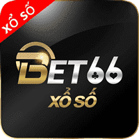 solve a sudoku puzzle
